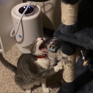 Meet your Posher, Juliette